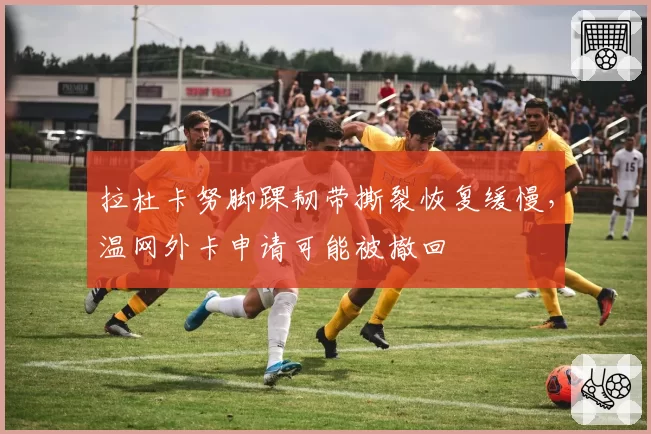 拉杜卡努脚踝韧带撕裂恢复缓慢，温网外卡申请可能被撤回