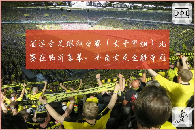 省运会足球积分赛（女子甲组）比赛在临沂落幕，济南女足全胜夺冠