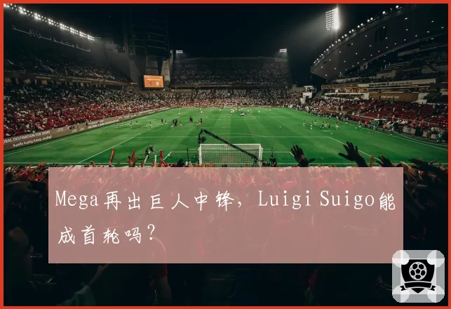 Mega再出巨人中锋，Luigi Suigo能成首轮吗？