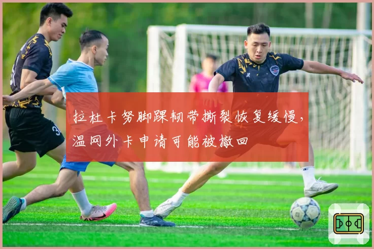 拉杜卡努脚踝韧带撕裂恢复缓慢，温网外卡申请可能被撤回